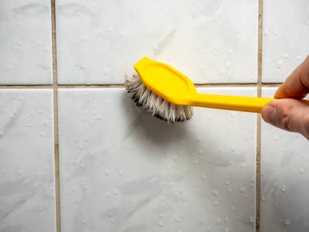 Best Professional Mold Removal  in Surf City, NC