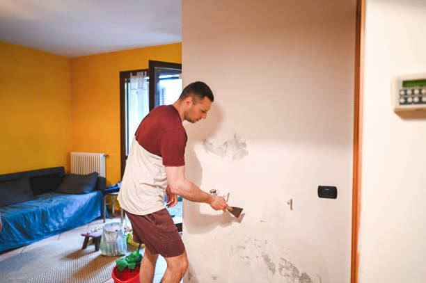 Best Toxic Mold Removal  in Surf City, NC